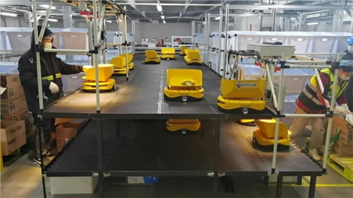備戰618 機器人先上陣，鏢普、小黃人、RaaS技術助力高效柔性自動化分揀